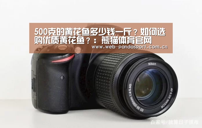 500克的黄花鱼多少钱一斤?如何选购优质黄花鱼?:熊猫体育官网(图1) 实时比分