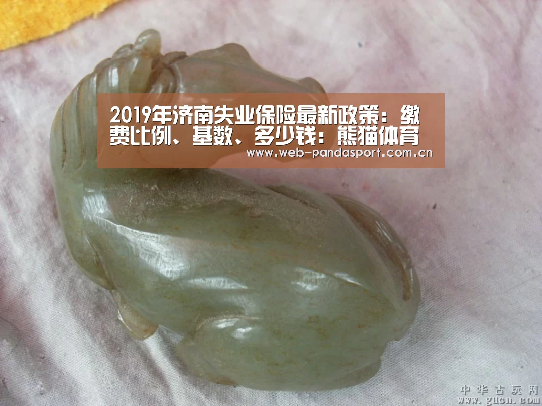 2019年济南失业保险最新政策:缴费比例、基数、多少钱:熊猫体育(图1) 熊猫体育
