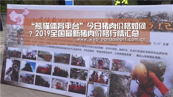 “熊猫体育平台”今日猪肉价格如何?2019全国最新猪肉价格行情汇总(图2) 熊猫体育