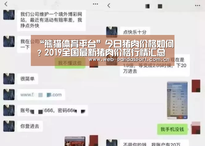 “熊猫体育平台”今日猪肉价格如何?2019全国最新猪肉价格行情汇总(图3) 熊猫体育官网